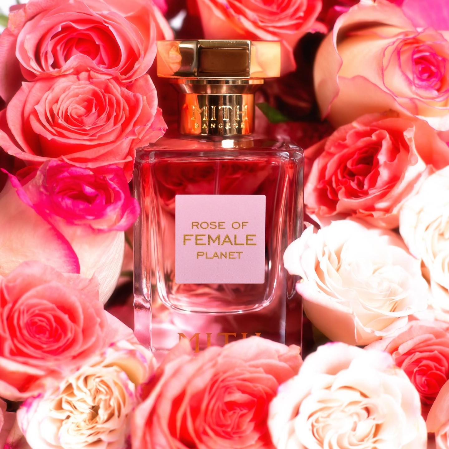 Rose of Female Planet