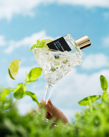 Let the whispers of Mojito calm your soul