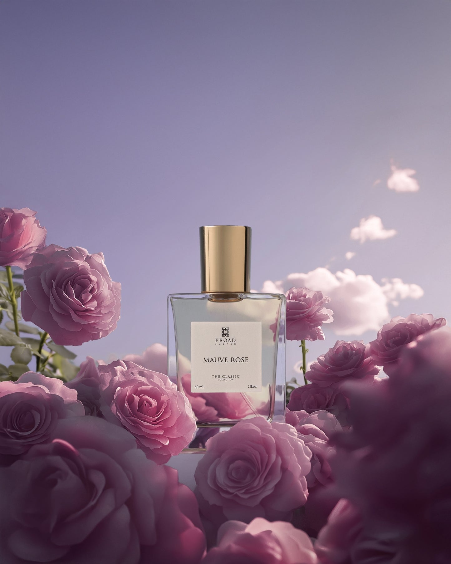 Mauve Rose