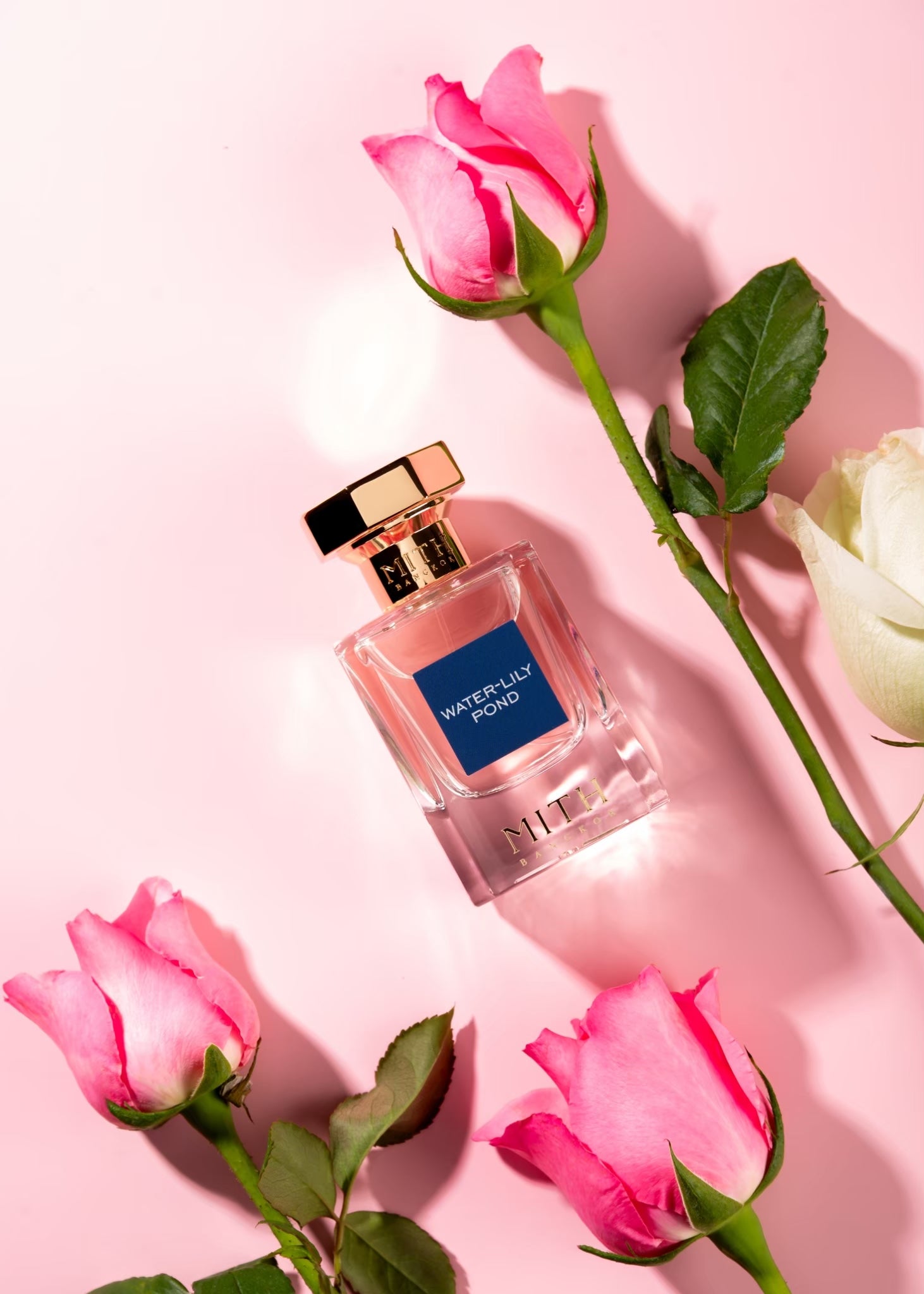 Water-lily Pond lifestyle image, tranquil water lily fragrance