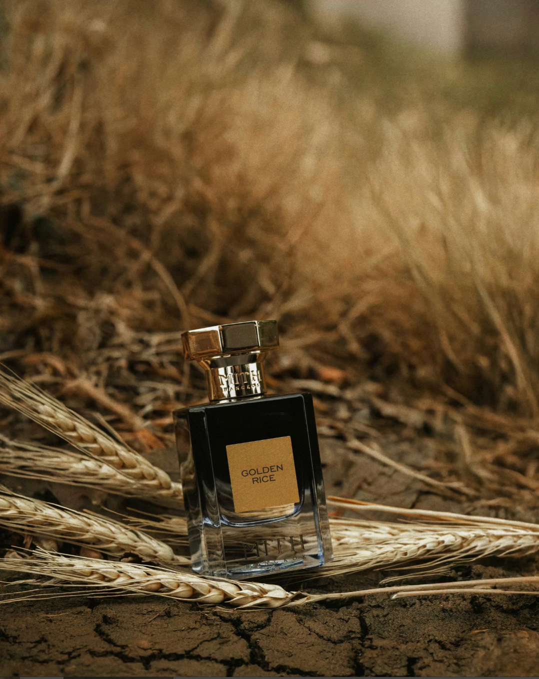 Golden Rice | Villenel Fragrances Oy