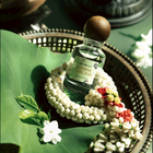 One Fine Day : Jasmine Garland